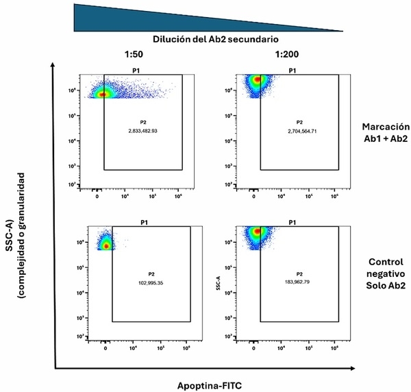 Detección y cuantificación rápida del virus de anemia en pollos (CAV) por virometría de flujo - Image 4