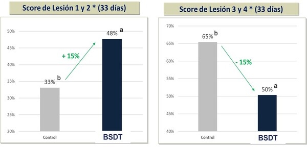Eficacia de la Suplementación de Butirato de Sodio Doblemente Tamponado sobre el Desempeño Productivo, la Pododermatitis y la Histomorfología Intestinal - Image 4