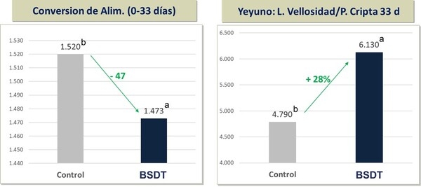 Eficacia de la Suplementación de Butirato de Sodio Doblemente Tamponado sobre el Desempeño Productivo, la Pododermatitis y la Histomorfología Intestinal - Image 3
