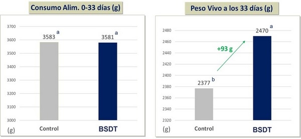 Eficacia de la Suplementación de Butirato de Sodio Doblemente Tamponado sobre el Desempeño Productivo, la Pododermatitis y la Histomorfología Intestinal - Image 2