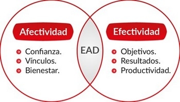 Construcción y gestión de equipos de alto desempeño en entornos productivos - Image 1