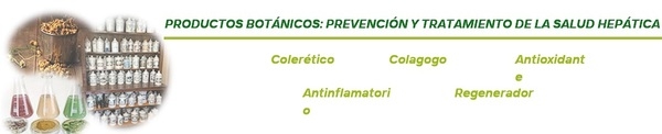 Efecto de nutrición en salud hepática - Image 10