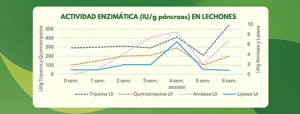 Efecto de nutrición en salud hepática - Image 2