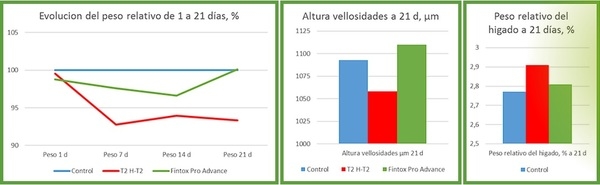 Efecto de nutrición en salud hepática - Image 4