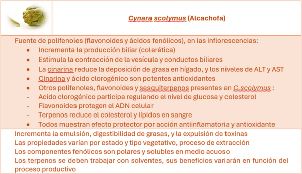 Efecto de nutrición en salud hepática - Image 1