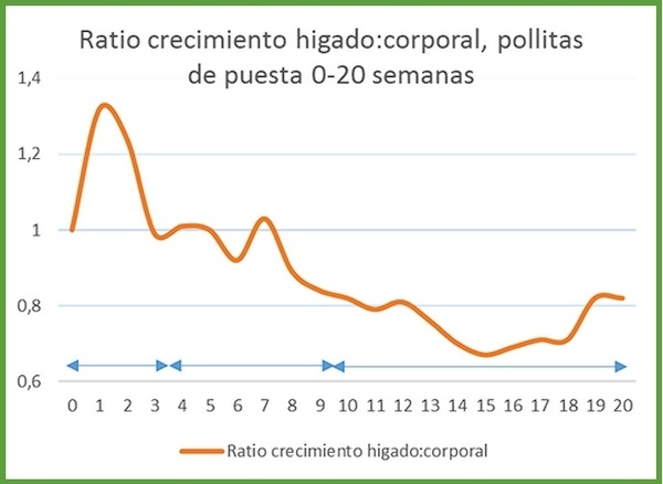 Efecto de nutrición en salud hepática - Image 5