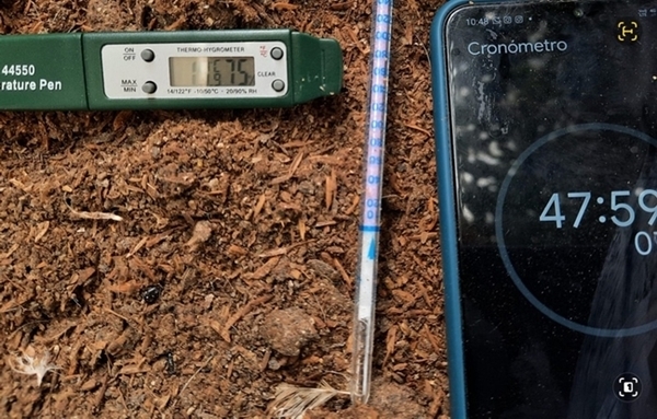 Disminución de los niveles de amoníaco (NH3) y reducción de carga bacteriana en cama de galpones avícolas - Image 8