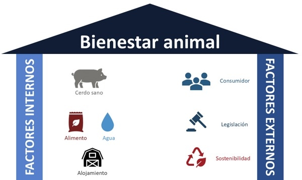 Bienestar animal – Soluciones basadas en caracteres para las granjas modernas - Image 1