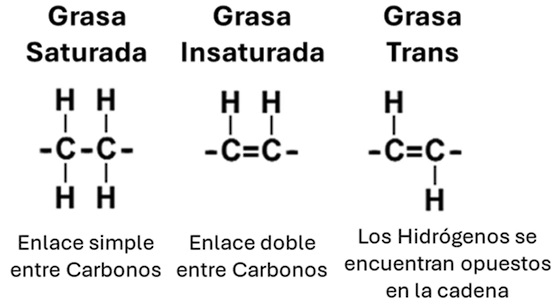 Beneficios de la carne Wagyu para la salud - Image 3