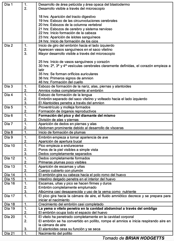 EMBRIODIAGNOSIS - Image 1