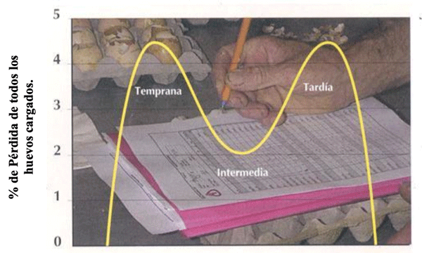 EMBRIODIAGNOSIS - Image 2