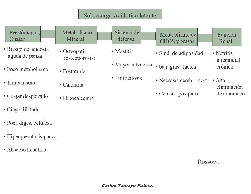 Conocimiento de las patografías de las vacas lecheras a través del estudio de la leche patológica - Image 5