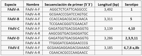 Epidemiologia y Caracterización Molecular del Virus de FAdV (Adenovirus Aviar) en Colombia (2025) - Image 1