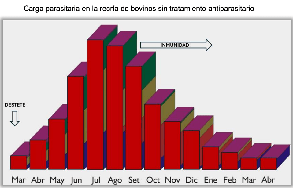 Parasitosis gastrointestinal y sarna psoróptica de los bovinos: Inmunidad en la epidemiología y productividad de los animales - Image 1