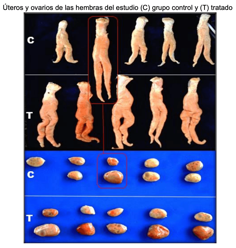 Parasitosis gastrointestinal y sarna psoróptica de los bovinos: Inmunidad en la epidemiología y productividad de los animales - Image 17