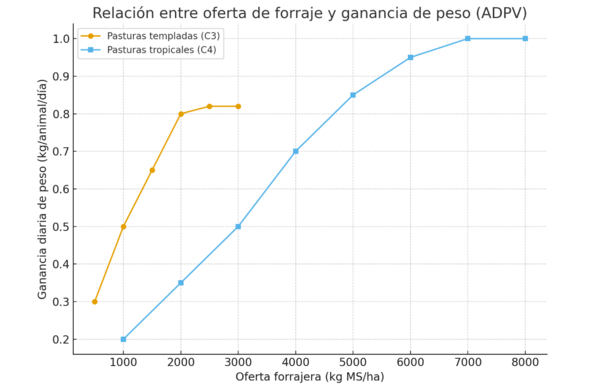 Asignación de forraje: una herramienta olvidada para ganar kilos - Image 2