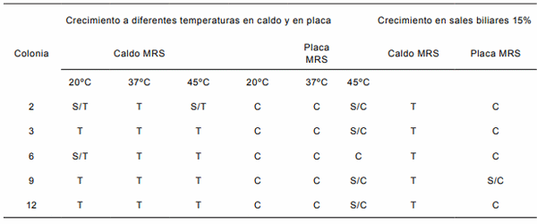Aislamiento de Lactobacillus reuteri de pollos con potencial efecto probiótico - Image 2