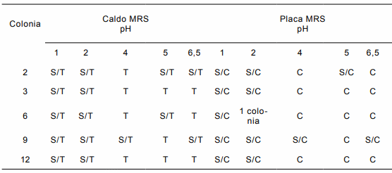 Aislamiento de Lactobacillus reuteri de pollos con potencial efecto probiótico - Image 3