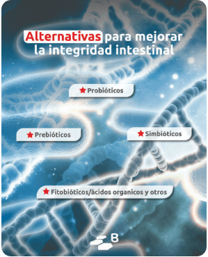 Salud intestinal avícola – Comprendiendo y controlando la inflamación - Image 2