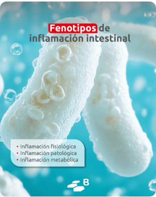 Salud intestinal avícola – Comprendiendo y controlando la inflamación - Image 1
