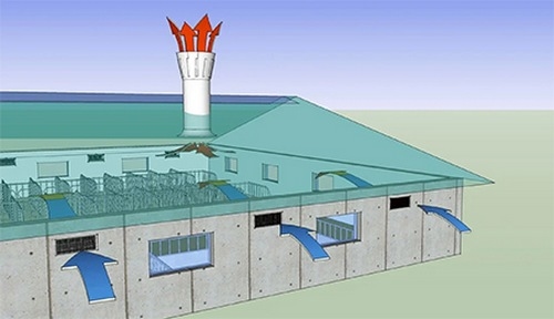 Ventilación natural o ventilación forzada en granjas porcinas - Image 2