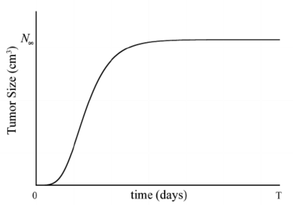 Existen Otras Formar de Generar Ahorros dentro de una Dieta para Animales en Producción??? - Image 2