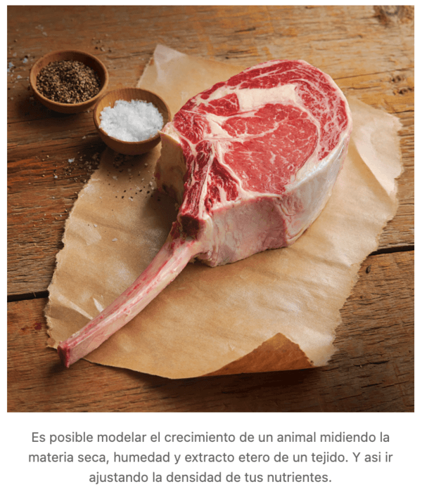 Existen Otras Formar de Generar Ahorros dentro de una Dieta para Animales en Producción??? - Image 3