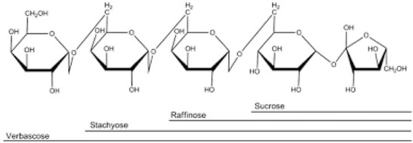 Describiendo los Galactooligosacaridos en Nutrición Animal y los efectos de ellos en el colon - Image 1