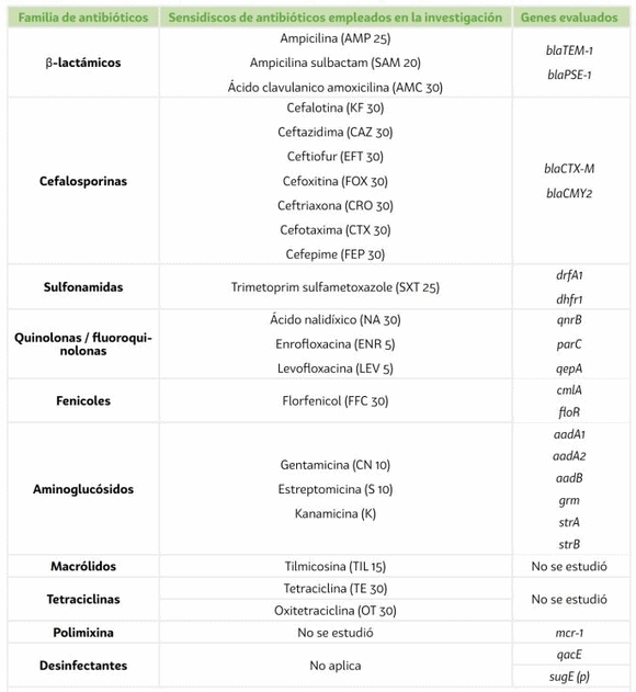 Resistencia antimicrobiana en Salmonella spp.: análisis fenotípico, genotípico y perspectivas desde el enfoque de Una Salud - Image 1