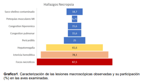 Grafico1. Caracterización de las lesiones macroscópicas observadas y su participación (%) en las aves examinadas.
