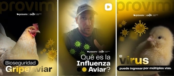 Bioseguridad en granjas: la primera barrera para prevenir la gripe aviar - Image 1