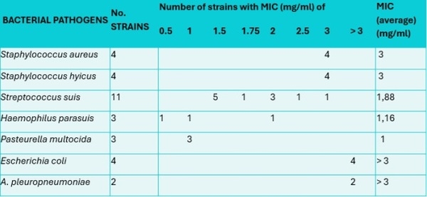 Aceites esenciales como alternativa a los antibióticos en cerdos - Image 4