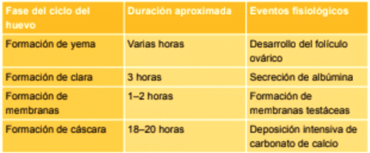 Manejo nutricional del calcio en avicultura - Image 2