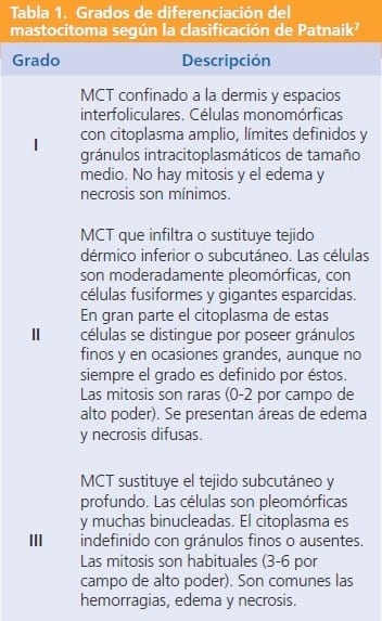Tratamiento del mastocitoma canino con un inhibidor de la tirosina quinasa. A propósito de un caso clínico - Image 1