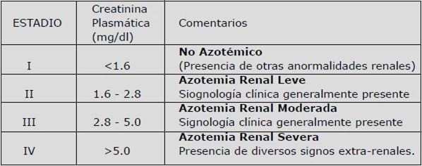 Determinación de infección del tracto urinario en felinos con diagnóstico de falla renal crónico. - Image 1