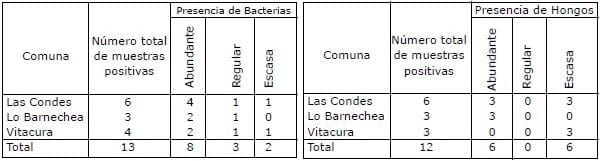 Determinación de la frecuencia de presentación de microorganismos bacterianos y micóticos en peluquerías caninas del área metropolitana, sector oriente. - Image 4