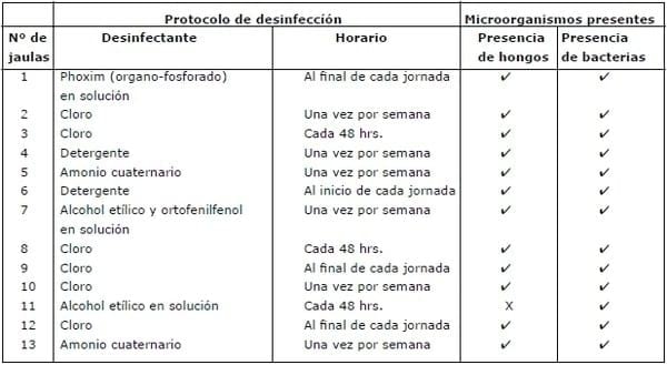 Determinación de la frecuencia de presentación de microorganismos bacterianos y micóticos en peluquerías caninas del área metropolitana, sector oriente. - Image 12