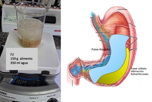 Administración de antimicrobianos en agua de bebida en comederos seco/húmedos: una incompatibilidad farmacológica ignorada - Image 4