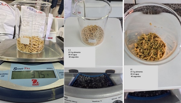 Administración de antimicrobianos en agua de bebida en comederos seco/húmedos: una incompatibilidad farmacológica ignorada - Image 1