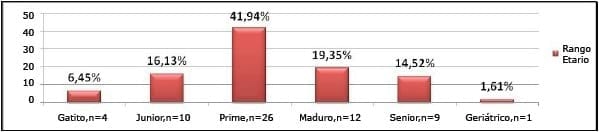 Caracterización de los pacientes felinos con efusión pleural entre los años 2006 al 2010. - Image 2