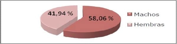 Caracterización de los pacientes felinos con efusión pleural entre los años 2006 al 2010. - Image 1