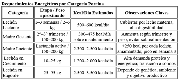 Requerimientos energéticos por categoría porcina