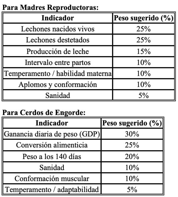 Selección de una madre porcina como reproductora - Image 14