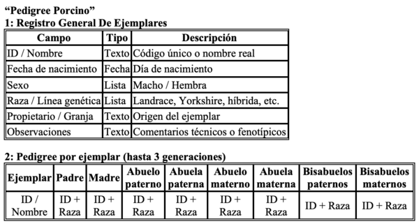 Selección de una madre porcina como reproductora - Image 12