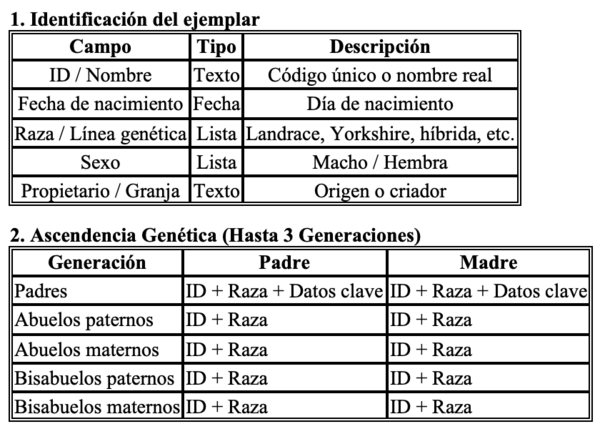 Selección de una madre porcina como reproductora - Image 10