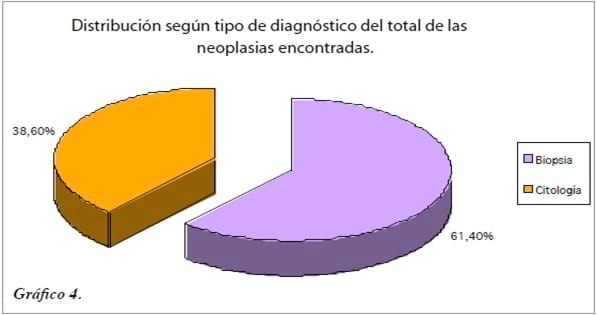 Neoplasias malignas felinas entre 2006 - 2010: Estudio retrospectivo - Image 5