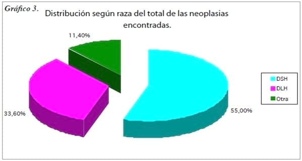 Neoplasias malignas felinas entre 2006 - 2010: Estudio retrospectivo - Image 4