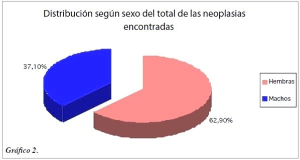 Neoplasias malignas felinas entre 2006 - 2010: Estudio retrospectivo - Image 3
