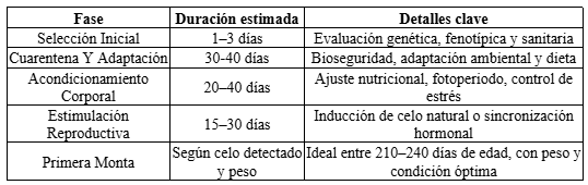 Selección de Reemplazo: Criterios Técnicos y Estratégicos - Image 2