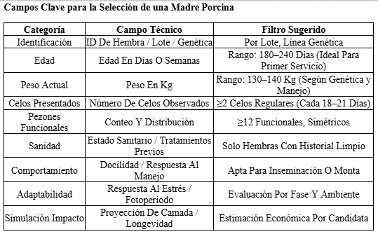 Selección de Reemplazo: Criterios Técnicos y Estratégicos - Image 5